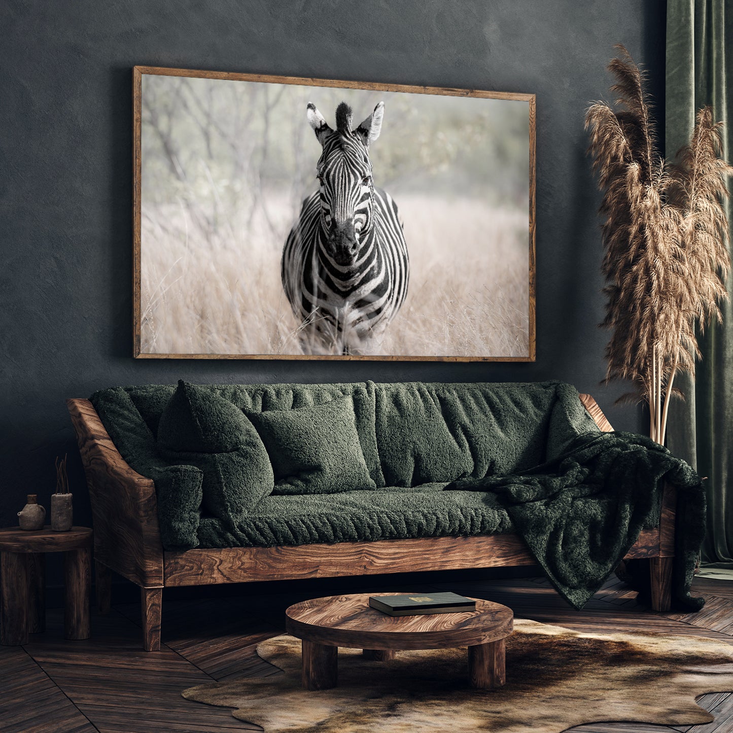 zebra fine art photography south africa