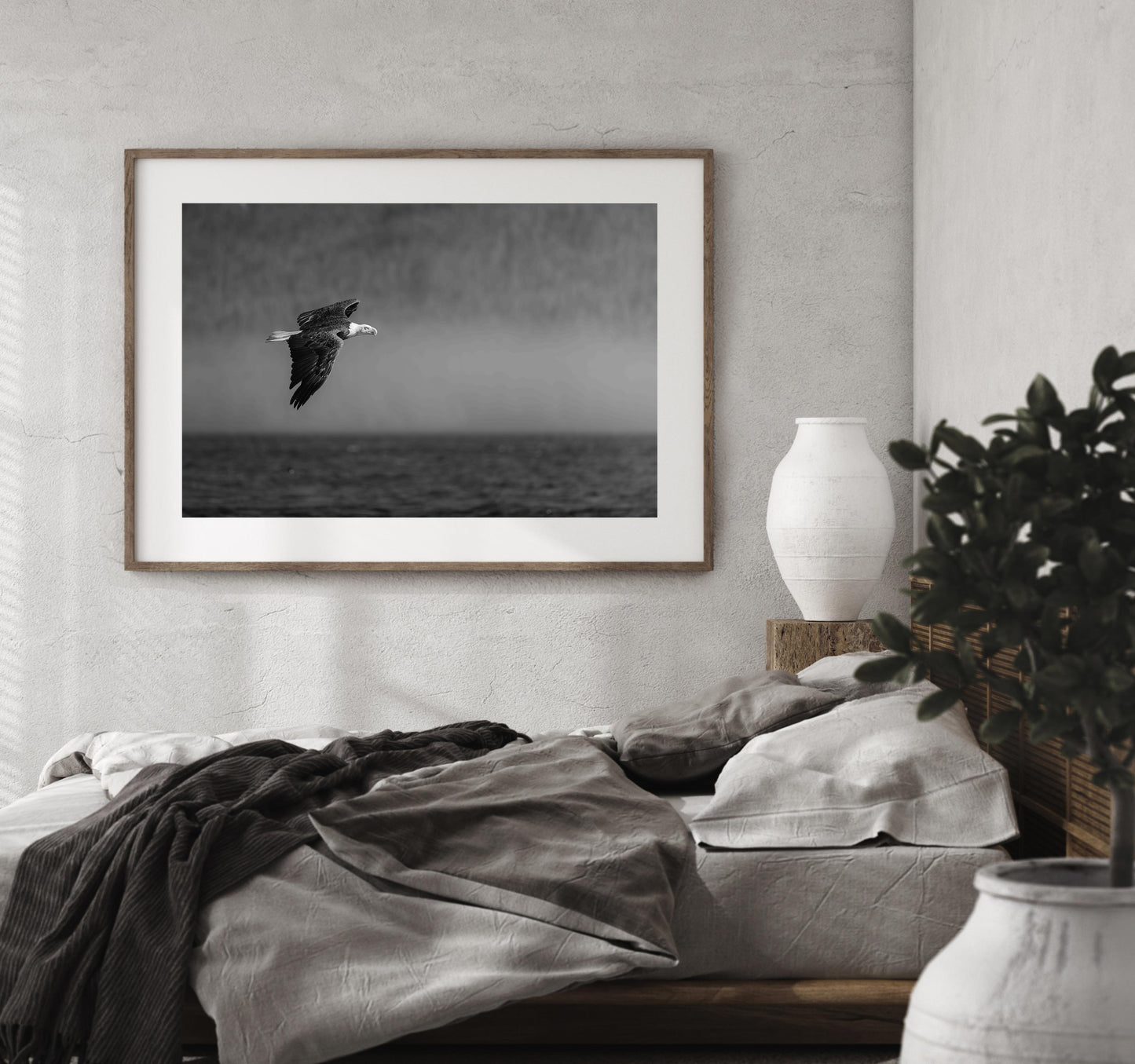 Bald Eagle Fine Art Black And White Photography