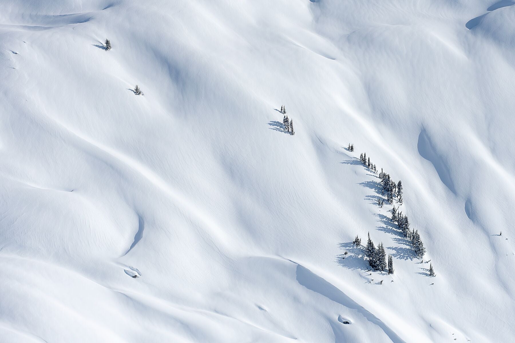 Snowscape #2 - Whistler Fine Art Photography - Garibaldi Snow