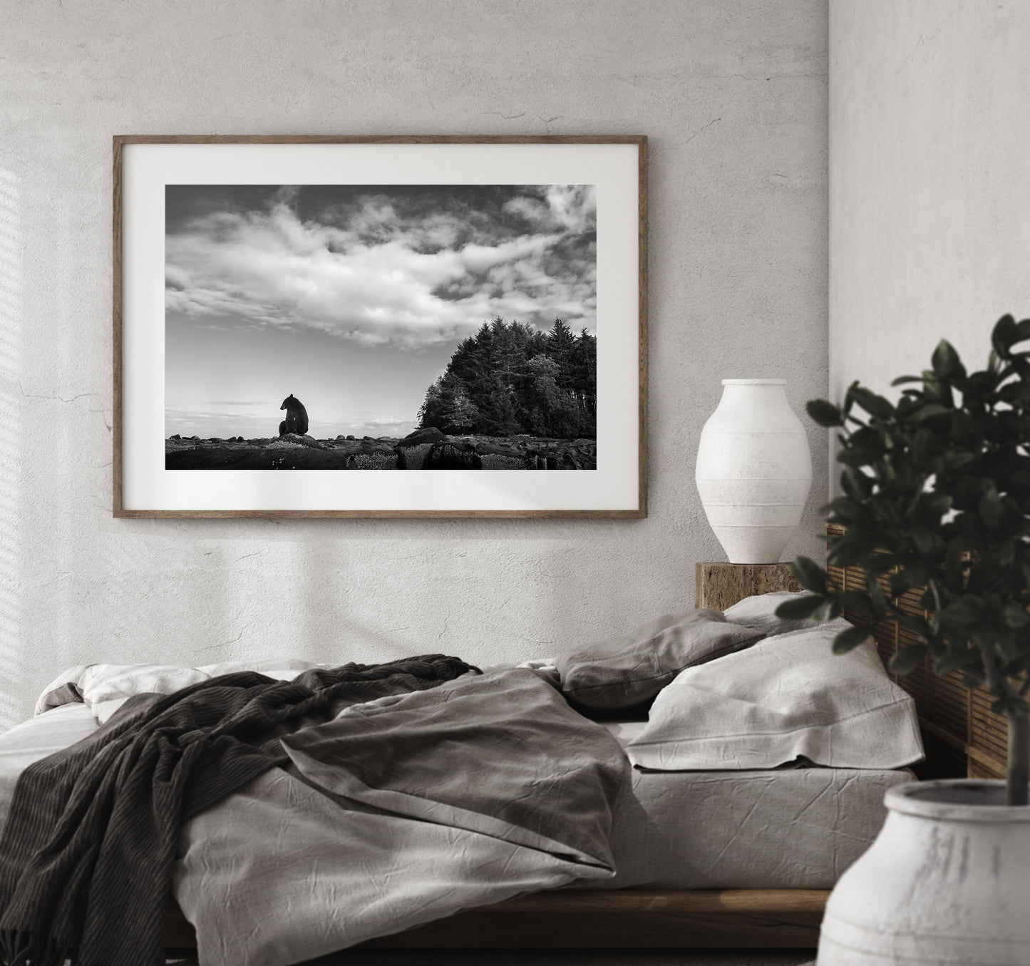 Black Bear Fine Art
