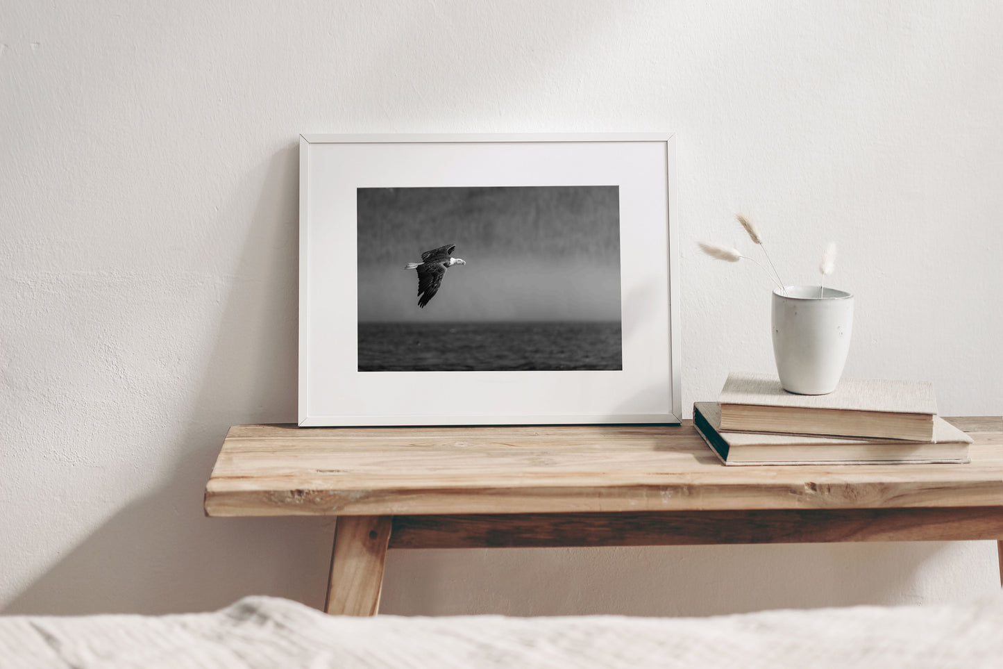 Bald Eagle Fine Art Black And White Photography