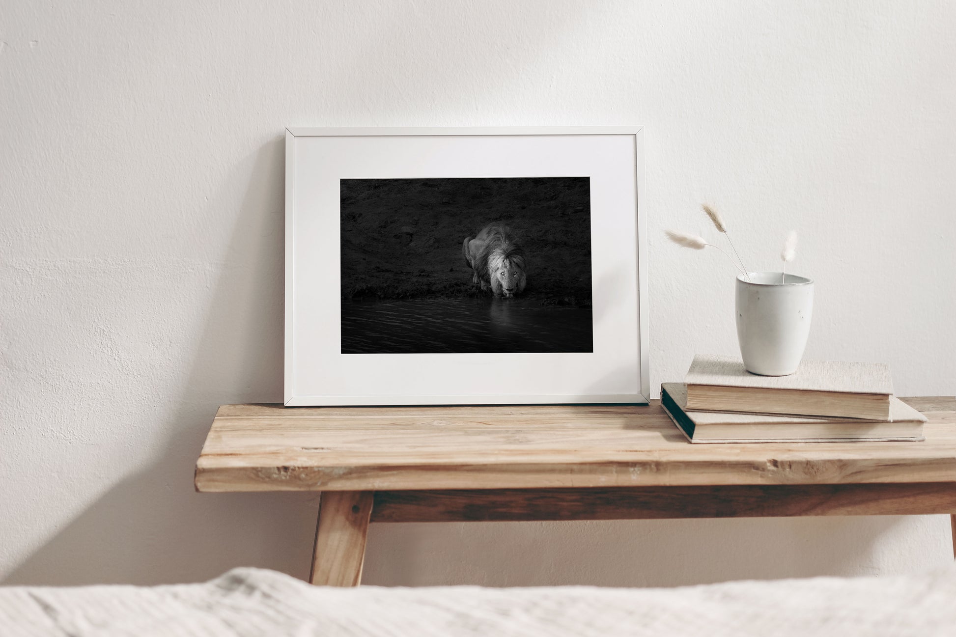 African Lion Fine Art Black And White Photography Print