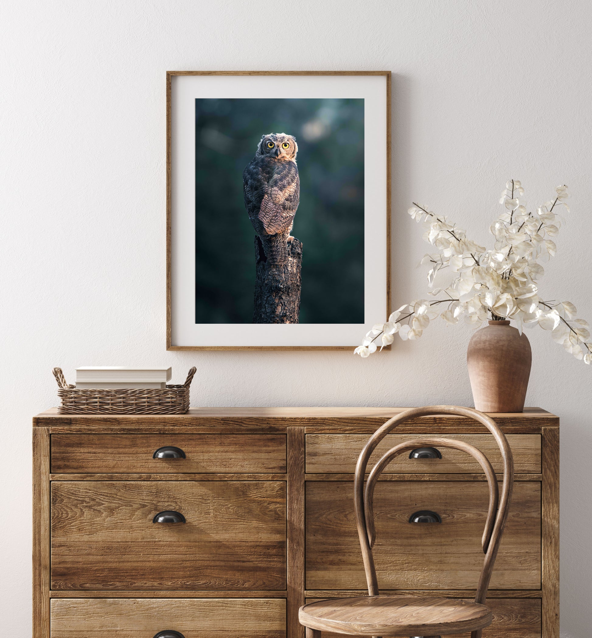 Fine Art Owl Photography British Columbia