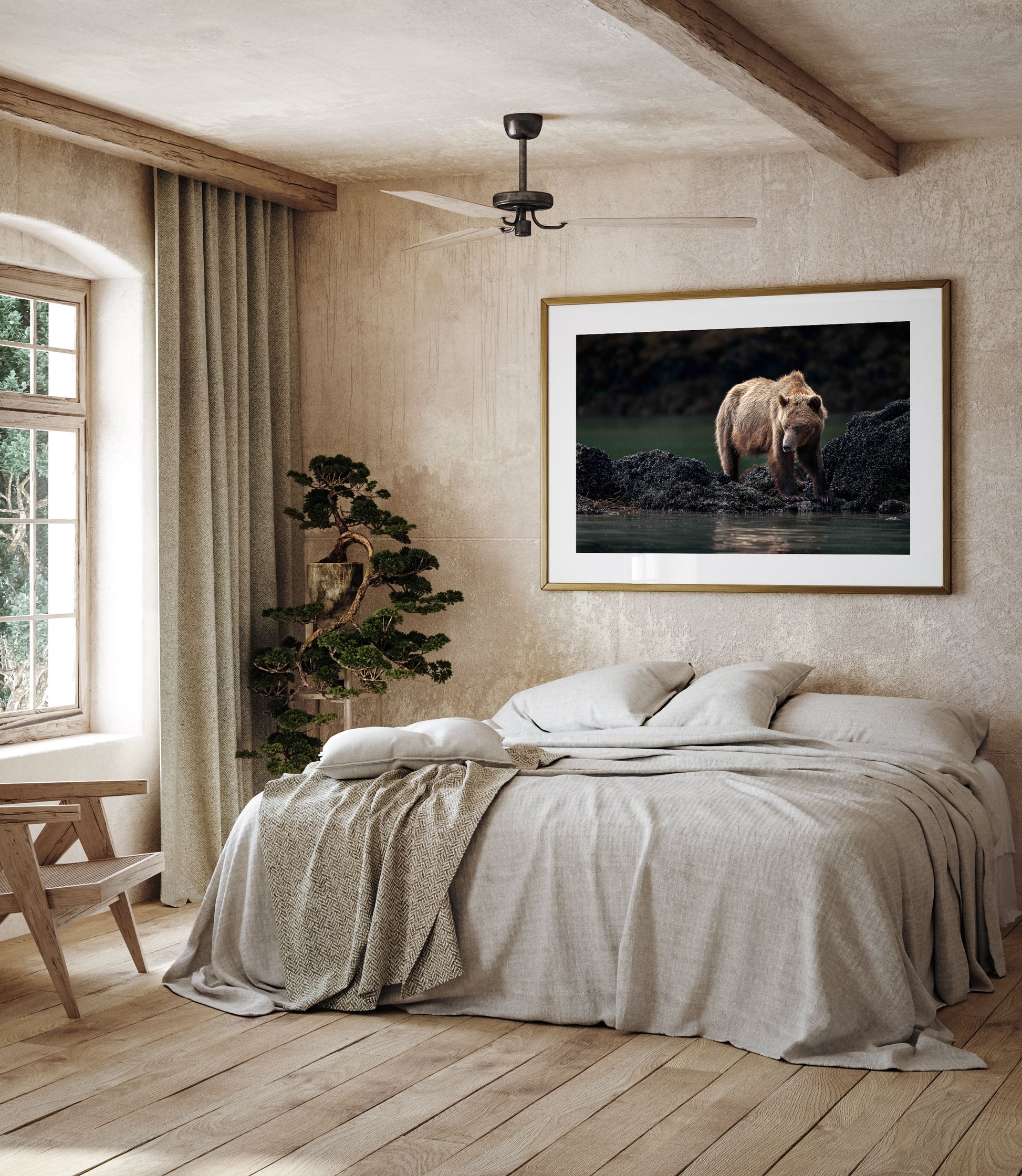 Bear Fine art photography for homes