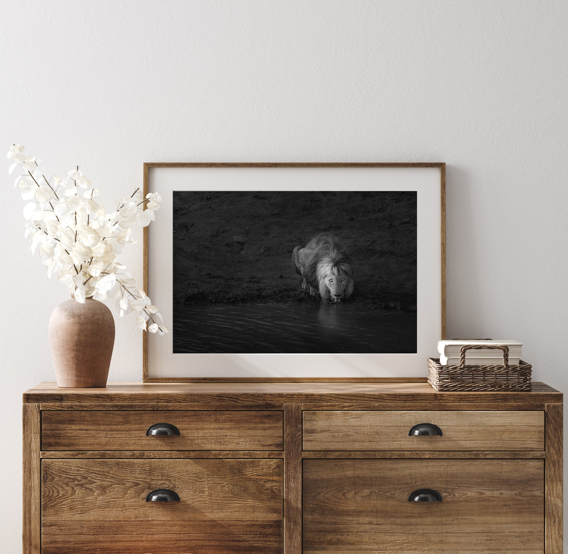 African Lion Fine Art Black And White Photography Print