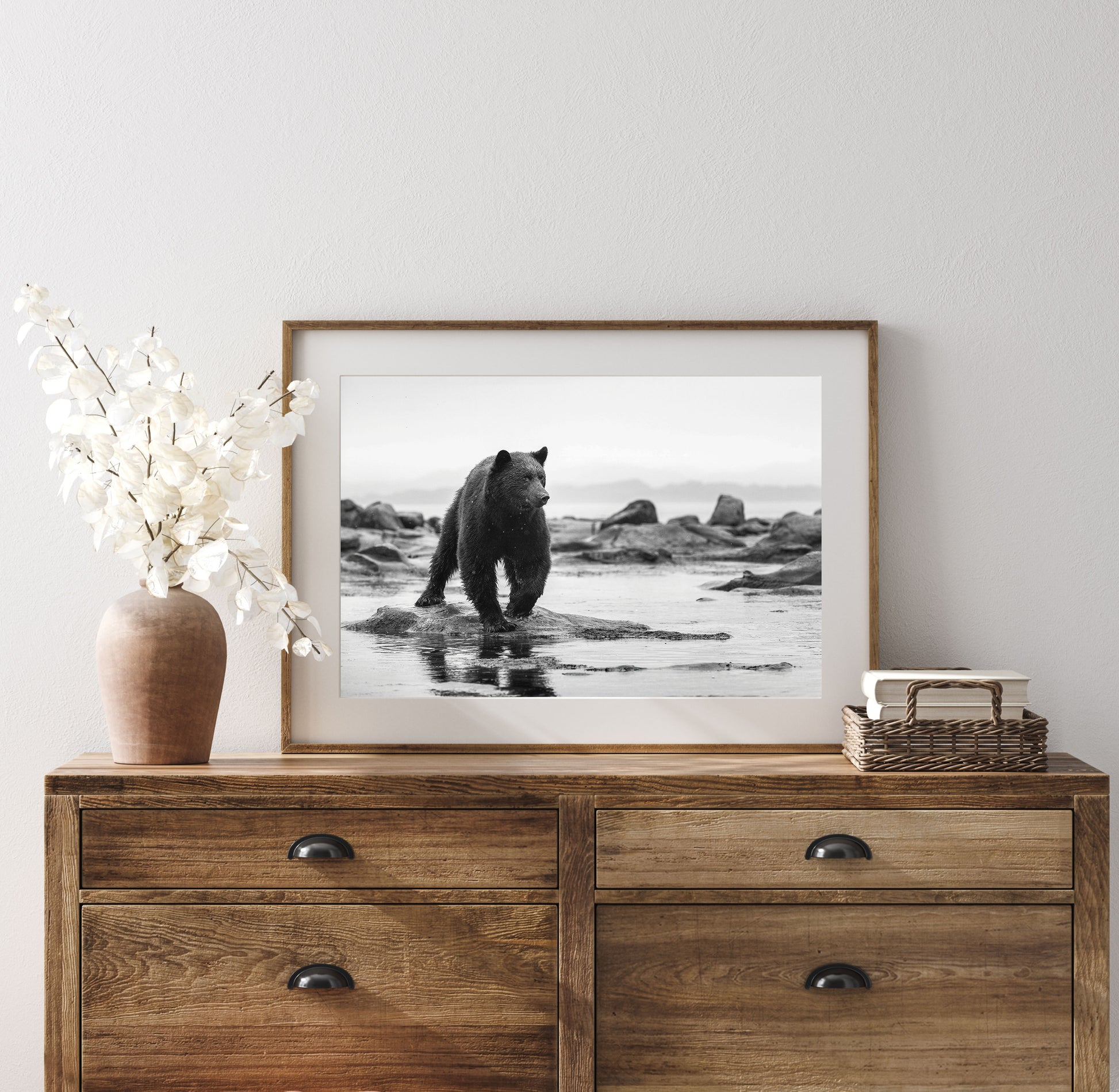 Canadian Black Bear Fine Art Photography 