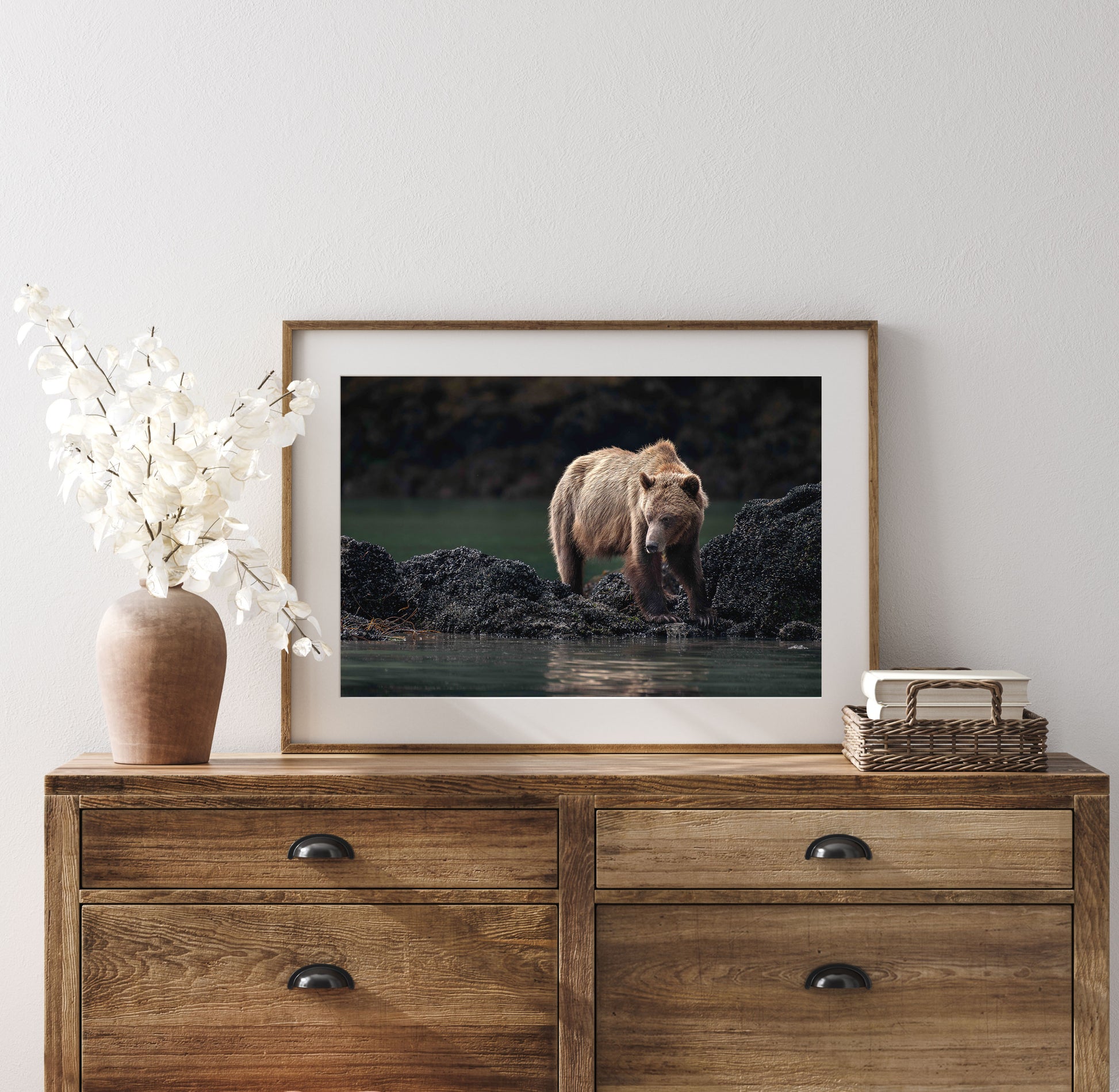 brown bear fine art photography