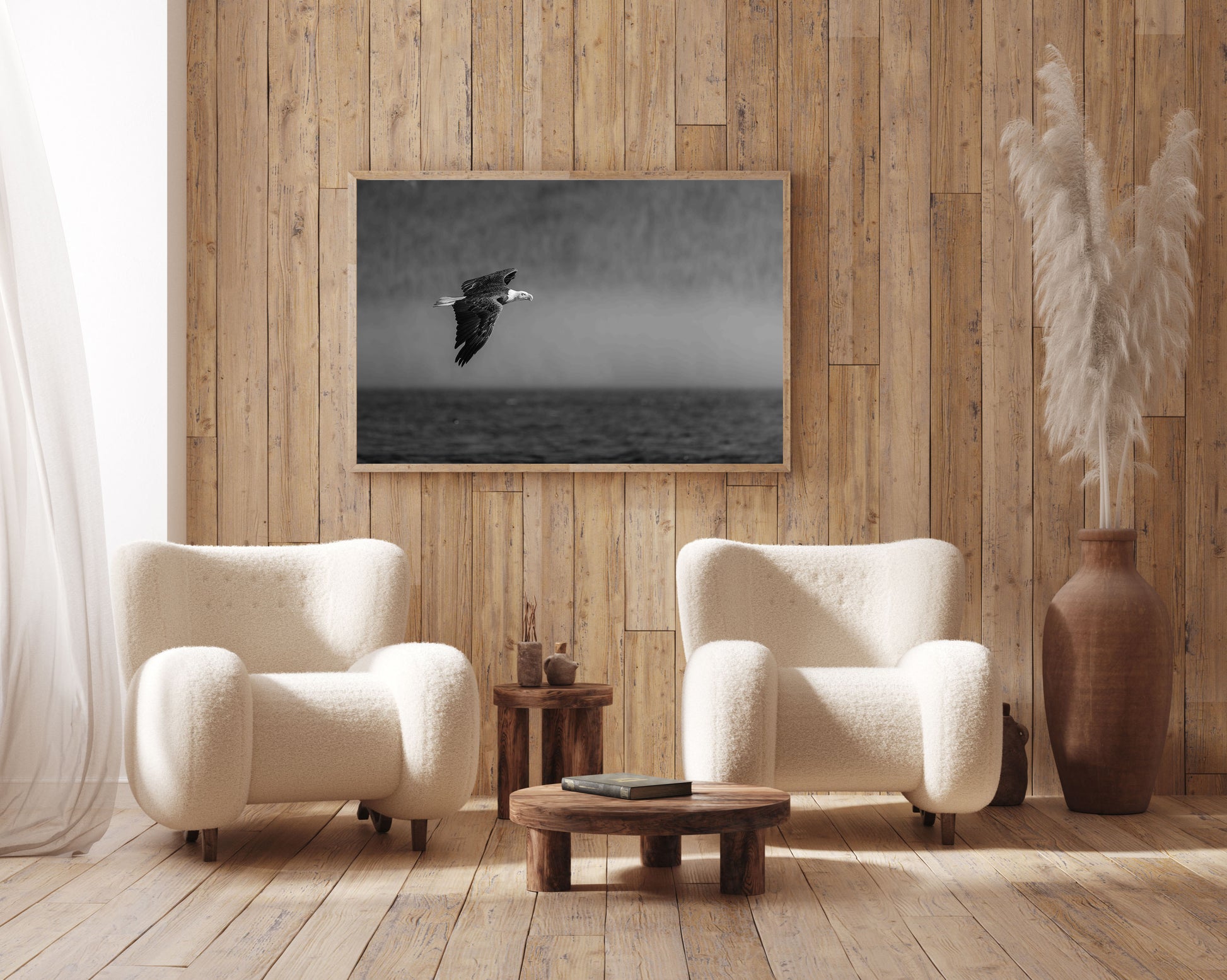 Bald Eagle Fine Art Black And White  Photography