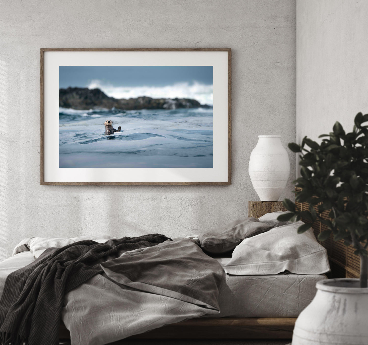 sea otter fine art photography limited edition