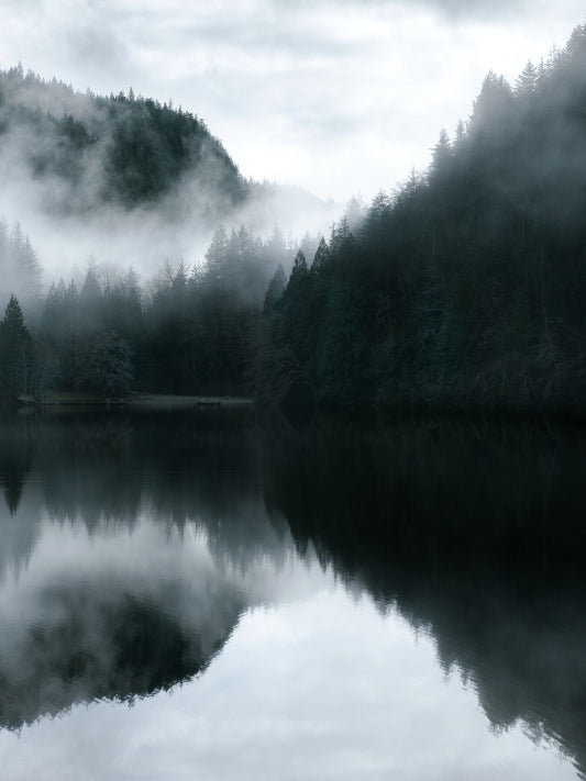 Lakeside Stillness