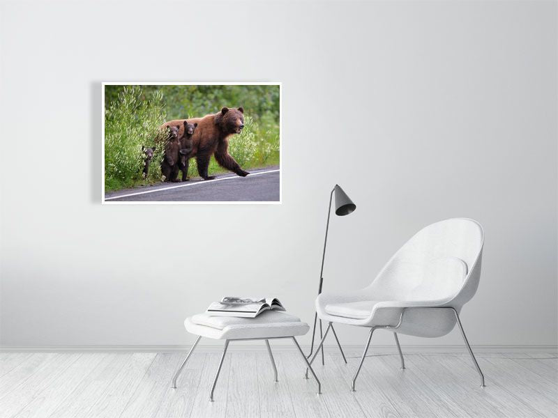 Grizzly Bear Fine Art Print Cute
