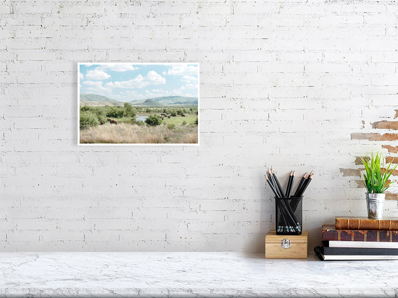 African Landscape with Elephants