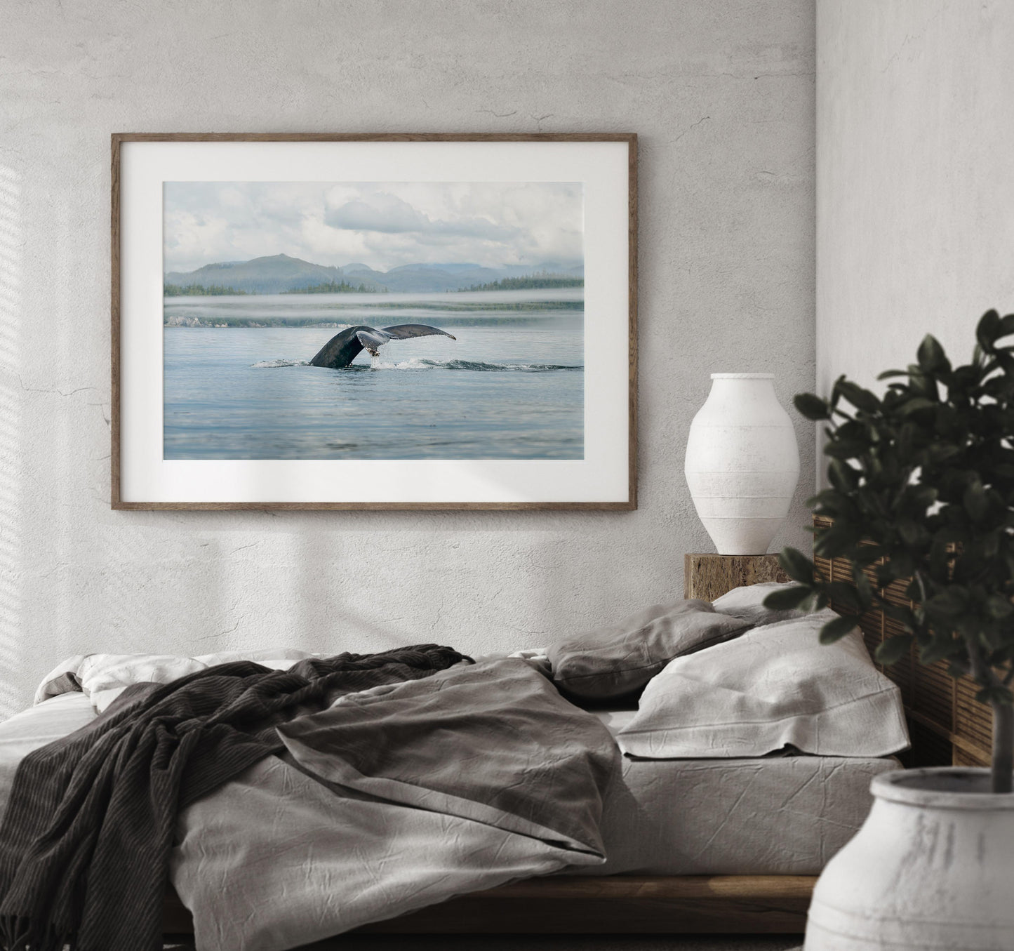 humpback whale fine art photography vancouver island