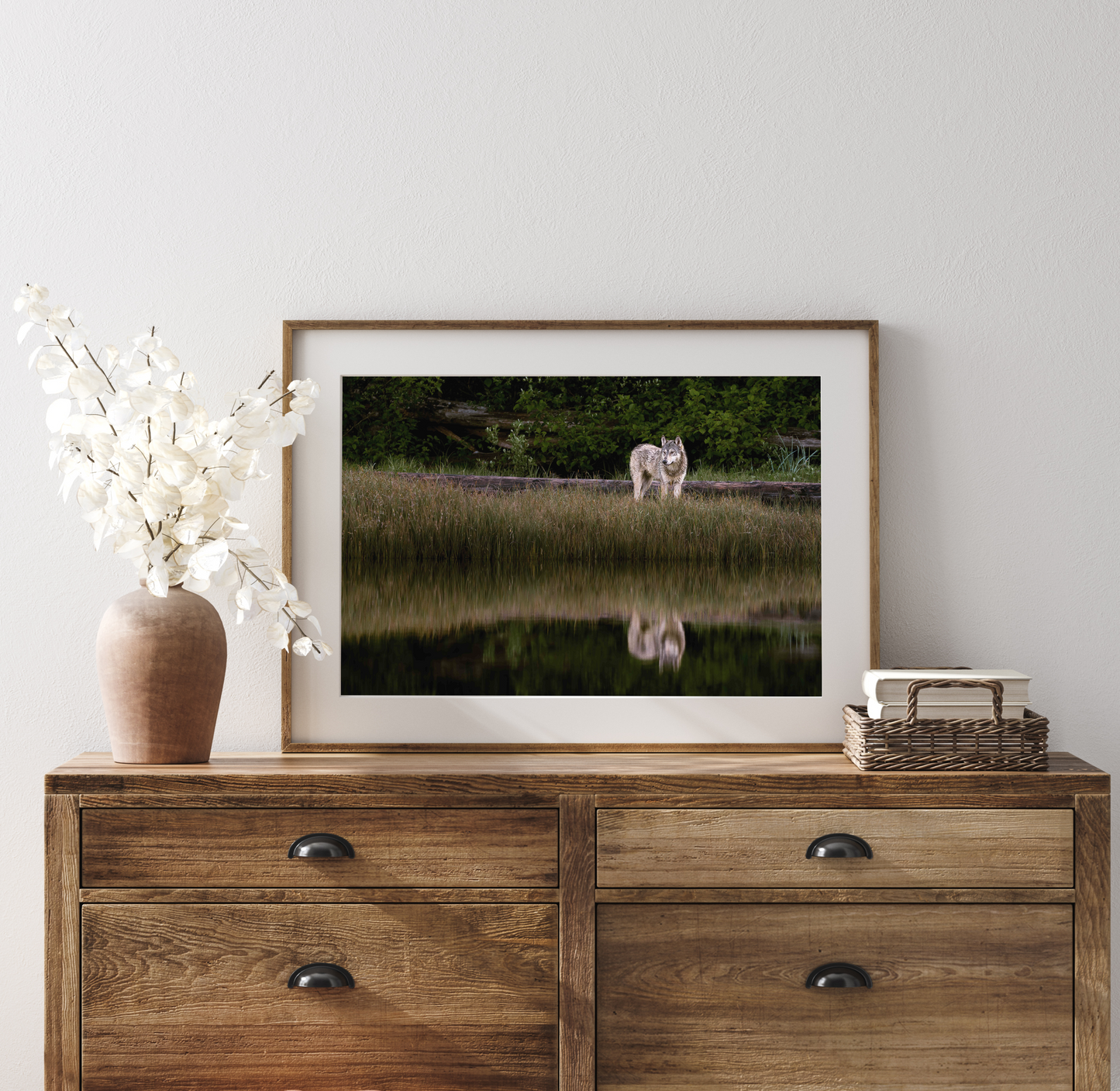 Sea Wolf - Coastal Wildlife Fine Art Photography by Ian Harland