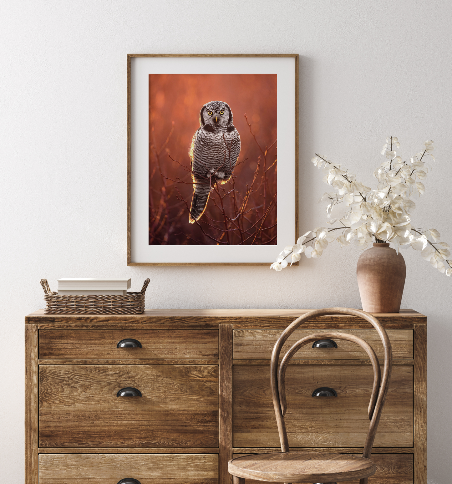 Hawk Owl Fine Art Print Photography