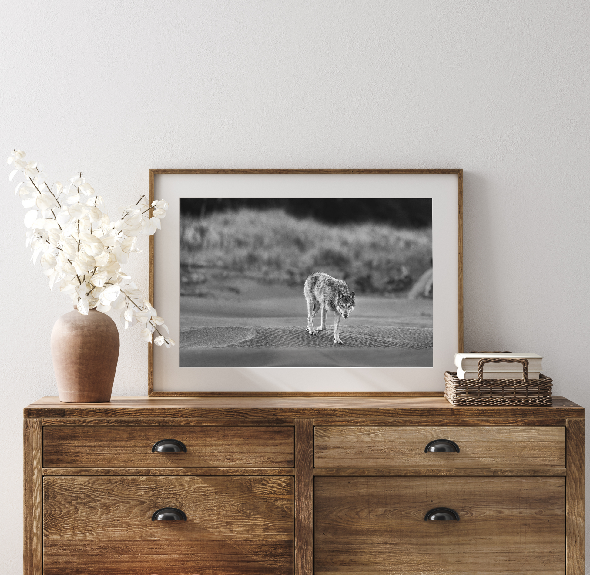 Vancouver Island Coastal Wolf Fine Art Print