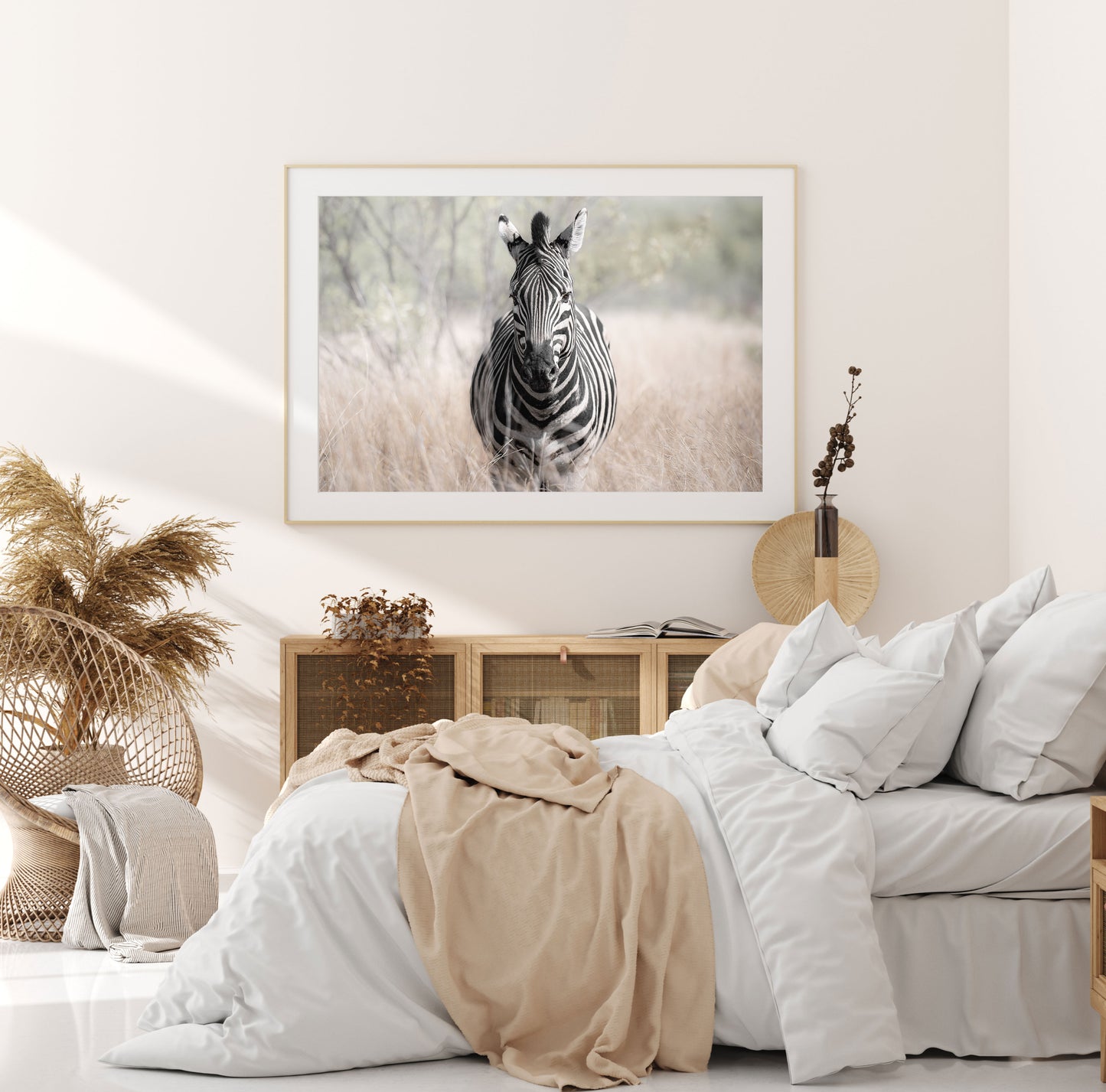 zebra fine art photography print